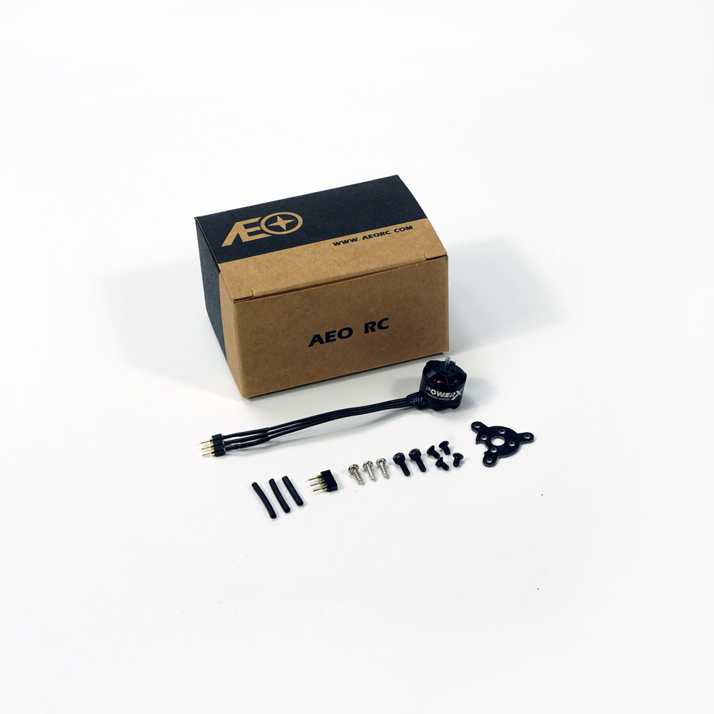 Mini Micro MC1106 3800KV Borst - Rc Plane Hobby Zone recensie en prijs
